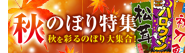 秋のぼり旗特集