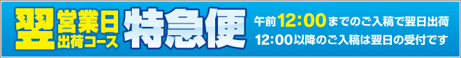 翌営業日出荷の特急便