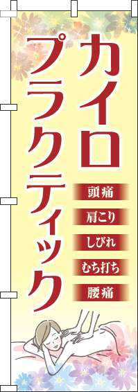 ץ饯ƥå  Τܤ 013JN0263IN