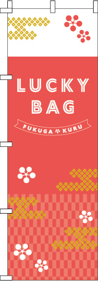 LUCKY BAG�Τܤ�� 018JN0969IN