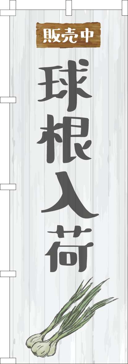 庬  Τܤ 024JN0166IN