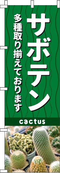 ���ܥƥ�Τܤ�� 024JN0171IN