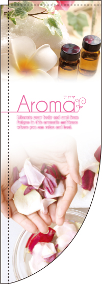 Aroma RΤܤꡡ(޻) 033JN0290RIN